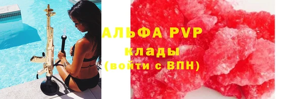 стафф Белокуриха