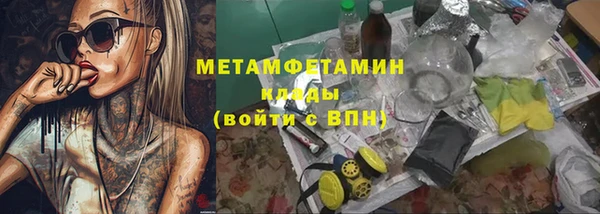 прущие грибы Верхний Тагил