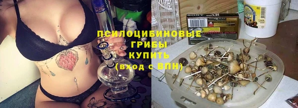 стафф Белокуриха