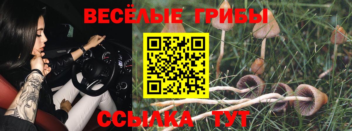Псилоцибиновые грибы ЛСД Вятские Поляны